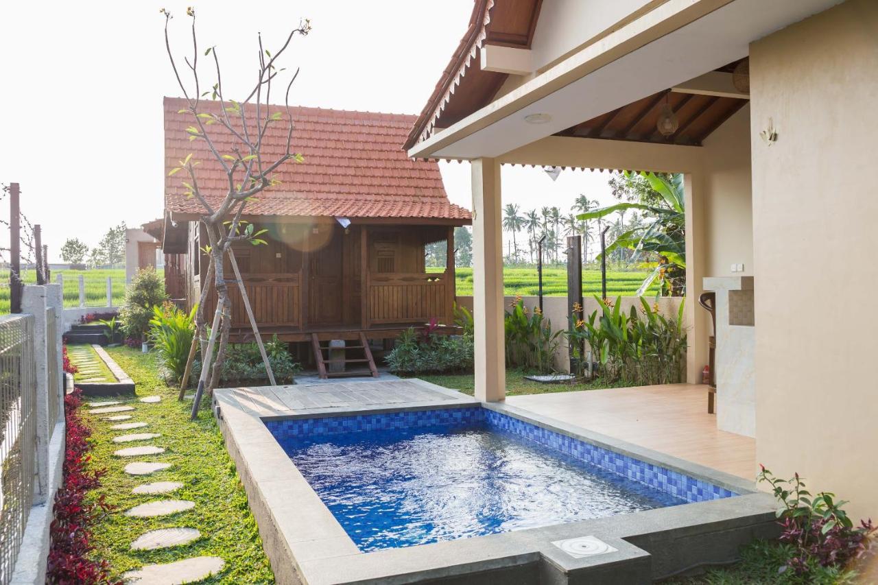 Victory Munggu Otel Canggu Dış mekan fotoğraf