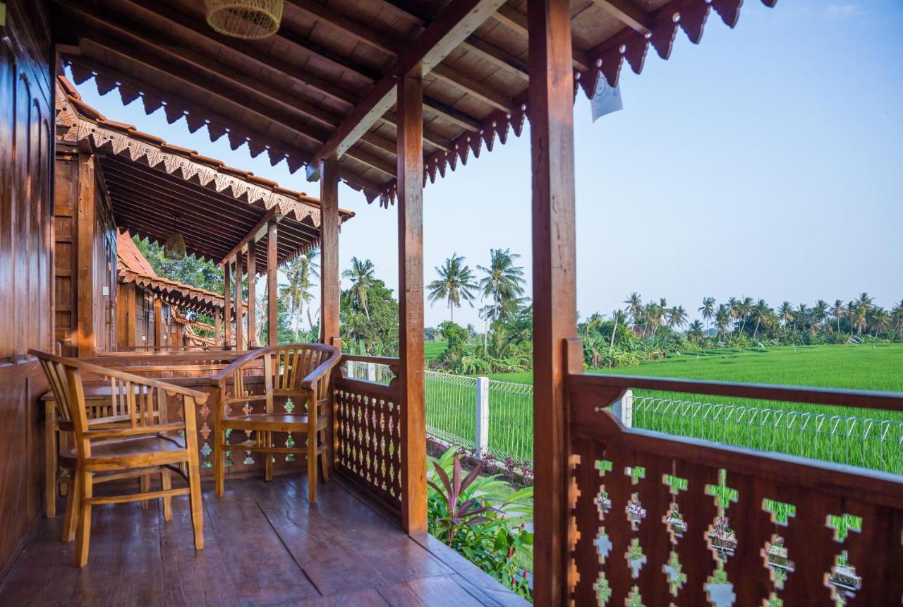 Victory Munggu Otel Canggu Dış mekan fotoğraf